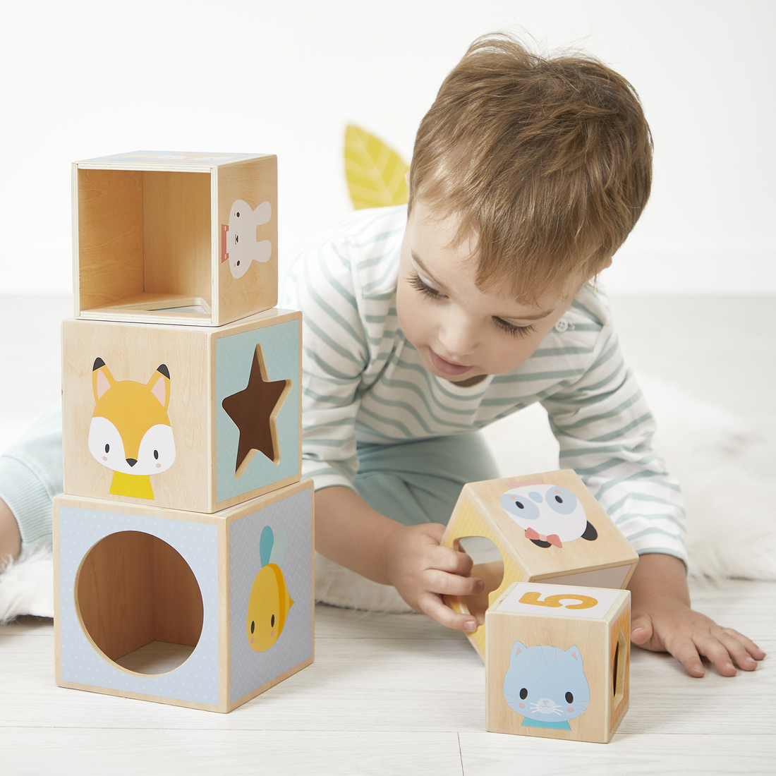 PURE: PYRAMIDE 6-BLOCS JANOD