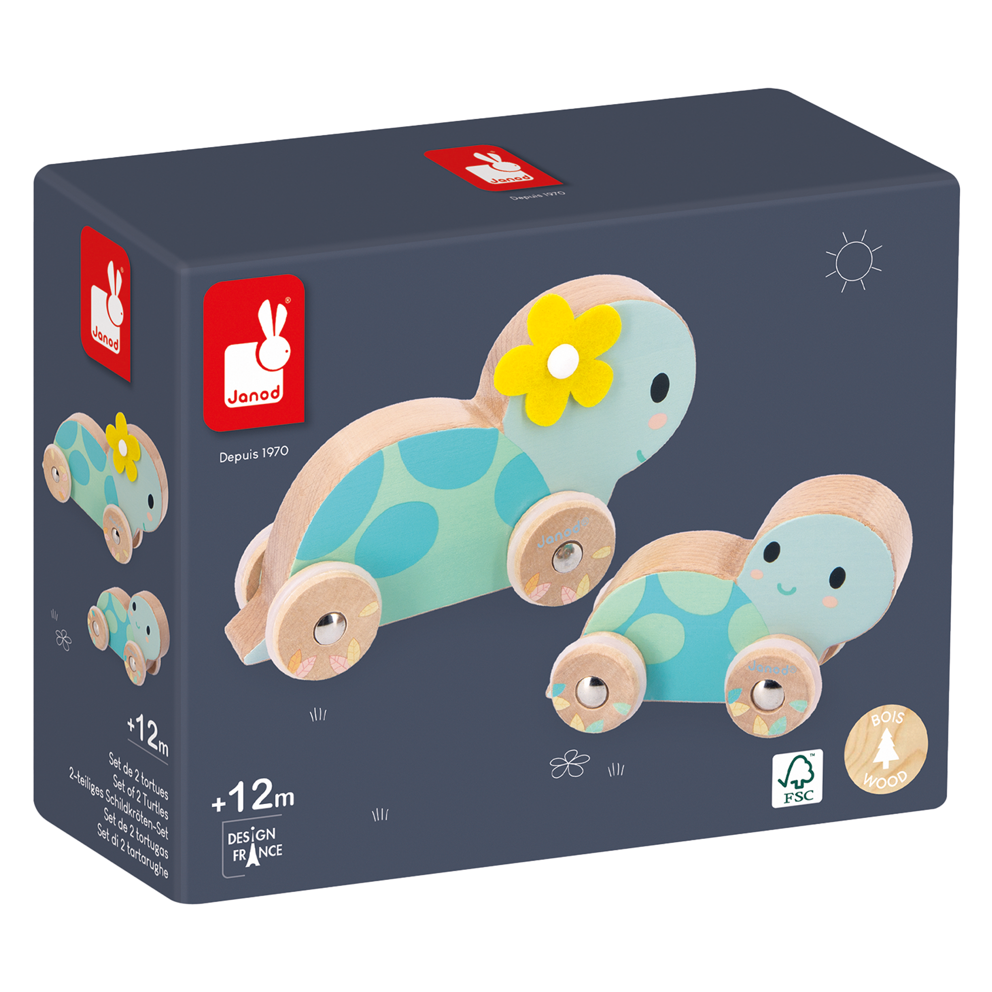 PURE: ENS. DE 2 TORTUES JANOD
