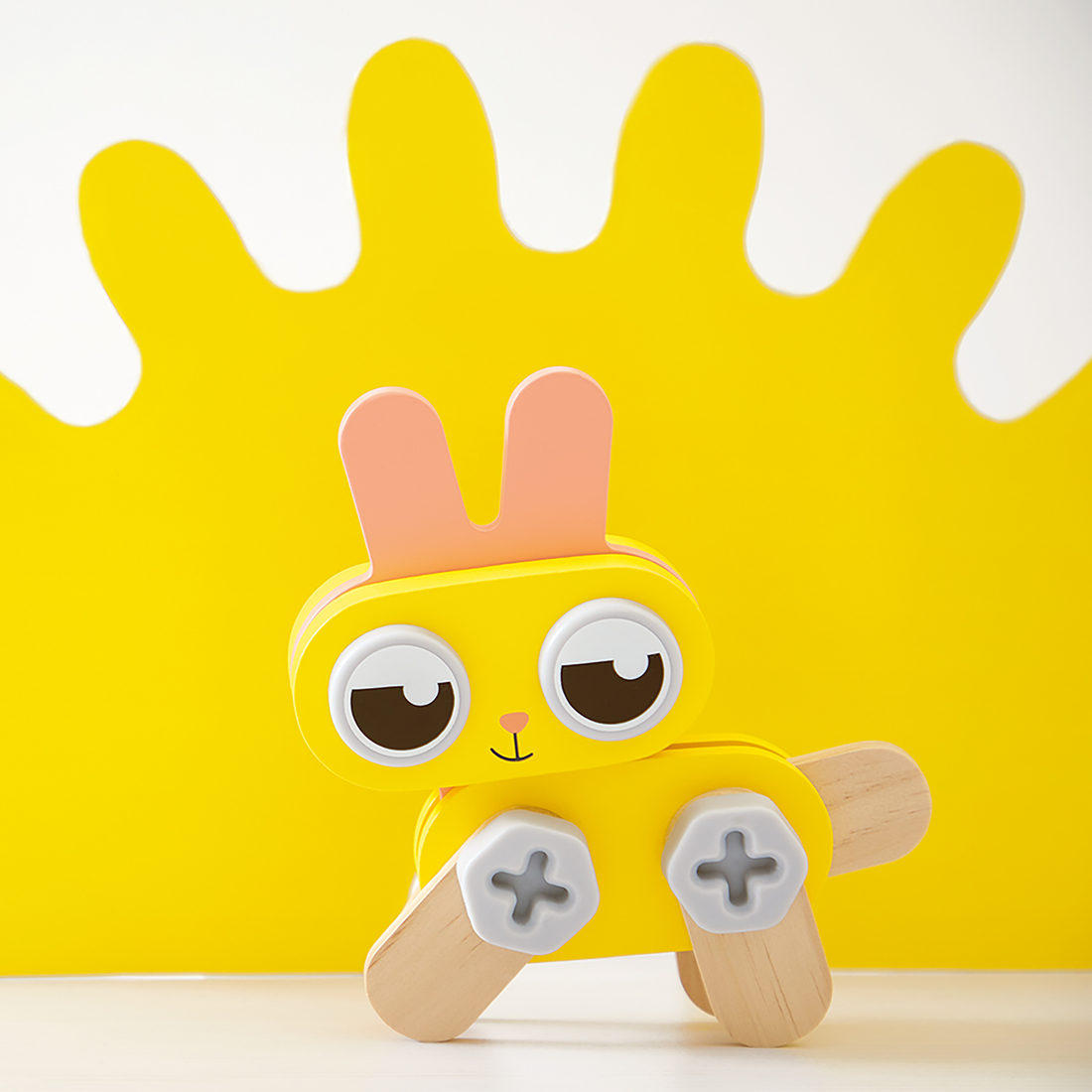 BRICO'KIDS: ANIMAUX DOMESTIQUES DIY JANOD