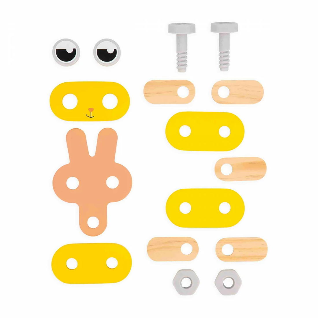 BRICO'KIDS: ANIMAUX DOMESTIQUES DIY JANOD