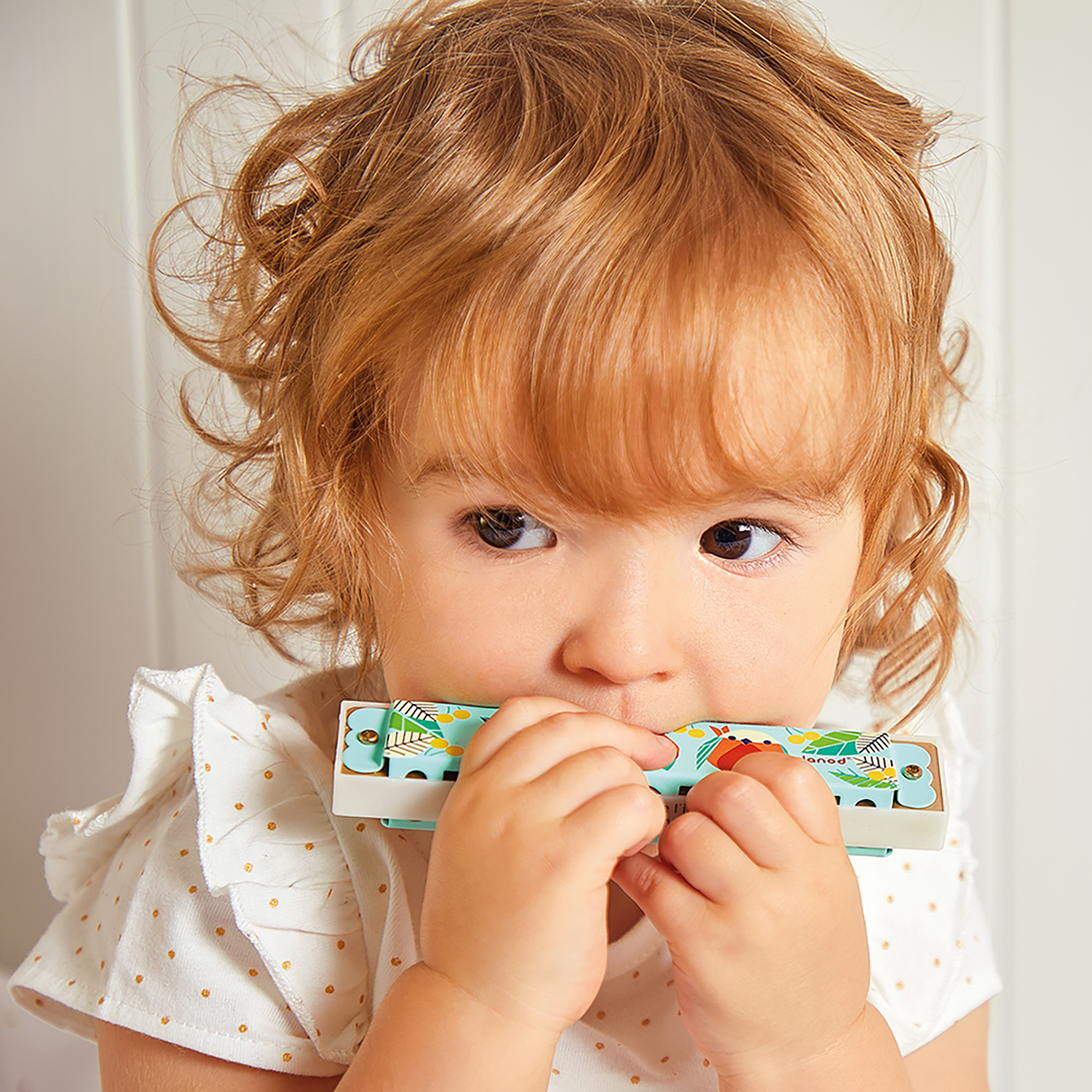 GIOIA: HARMONICA JANOD