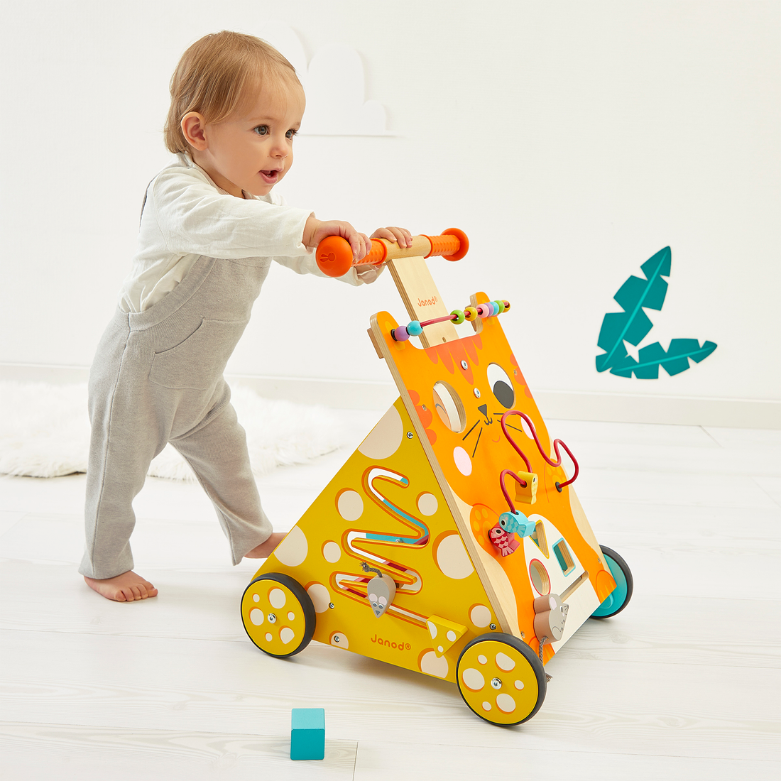CHARIOT MULTI-ACTIVITES CHAT JANOD