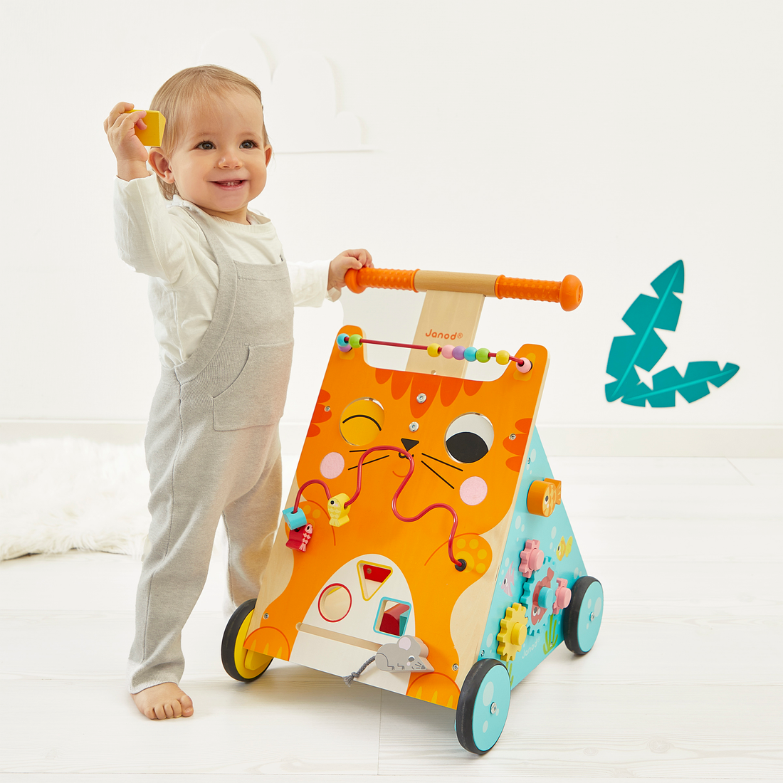 CHARIOT MULTI-ACTIVITES CHAT JANOD