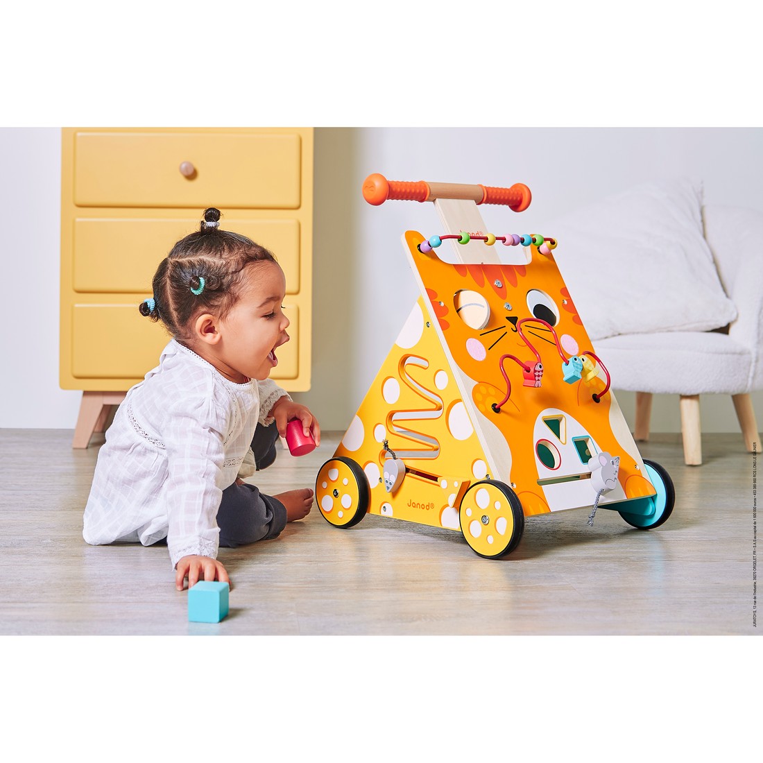 CHARIOT MULTI-ACTIVITES CHAT JANOD