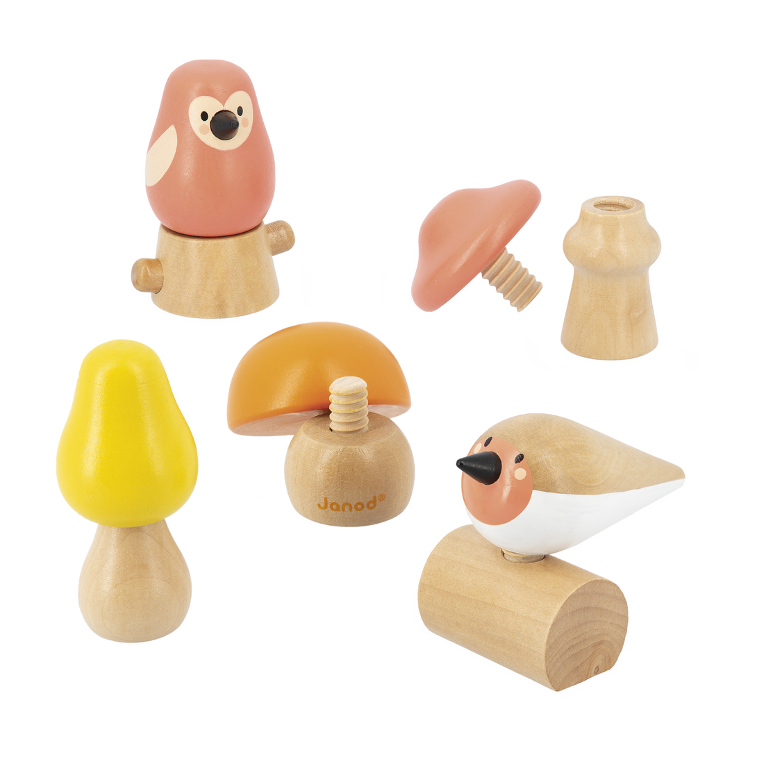 OISEAUX & CHAMPIGNONS À VISSER JANOD