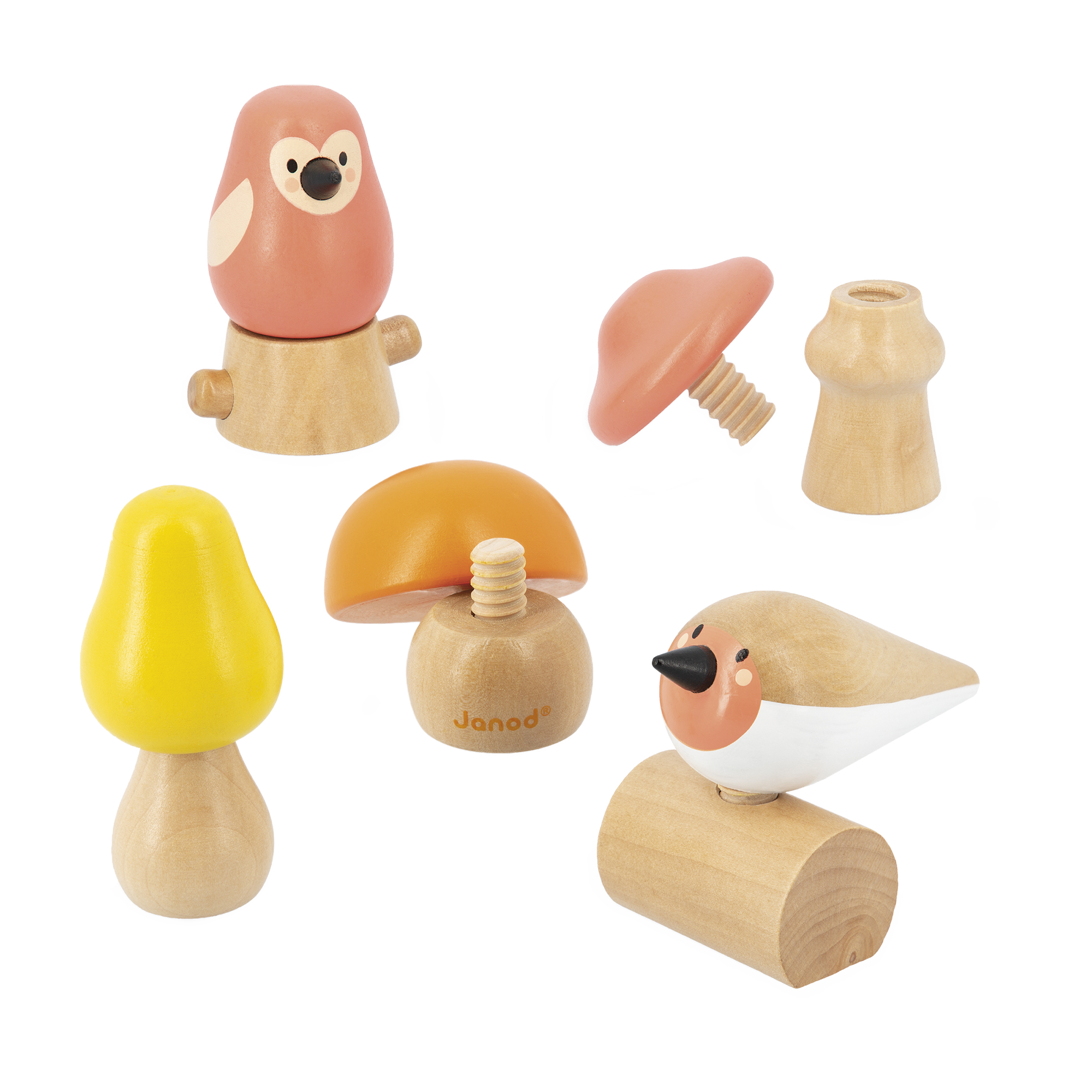 OISEAUX & CHAMPIGNONS À VISSER JANOD