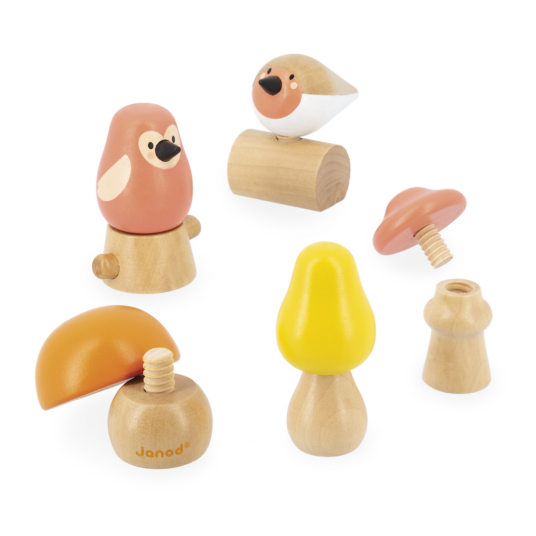 OISEAUX & CHAMPIGNONS À VISSER JANOD