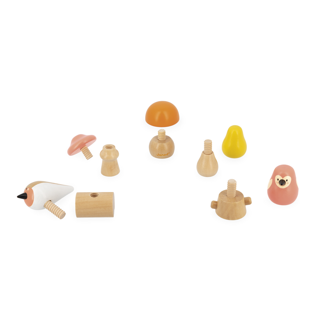 OISEAUX & CHAMPIGNONS À VISSER JANOD