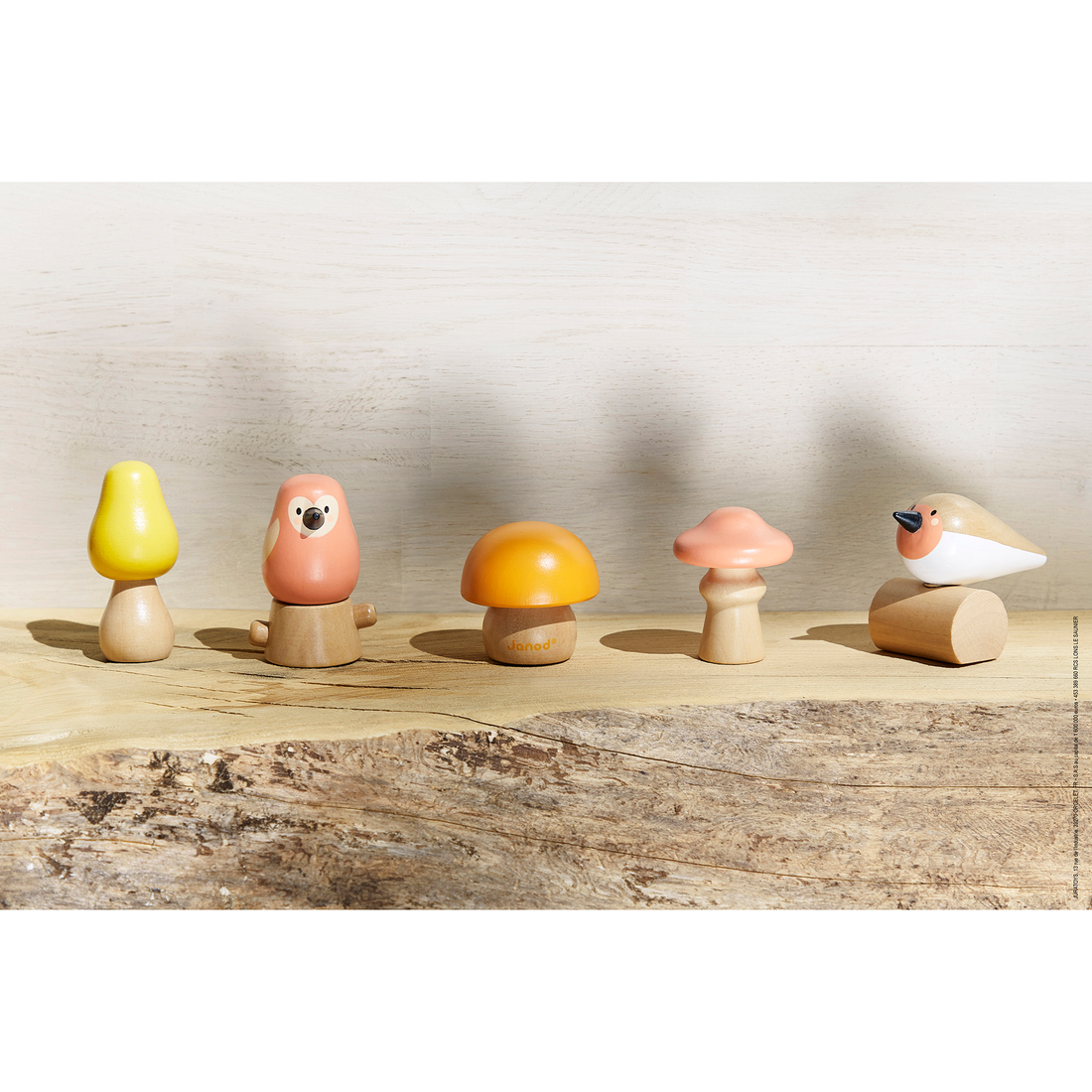 OISEAUX & CHAMPIGNONS À VISSER JANOD