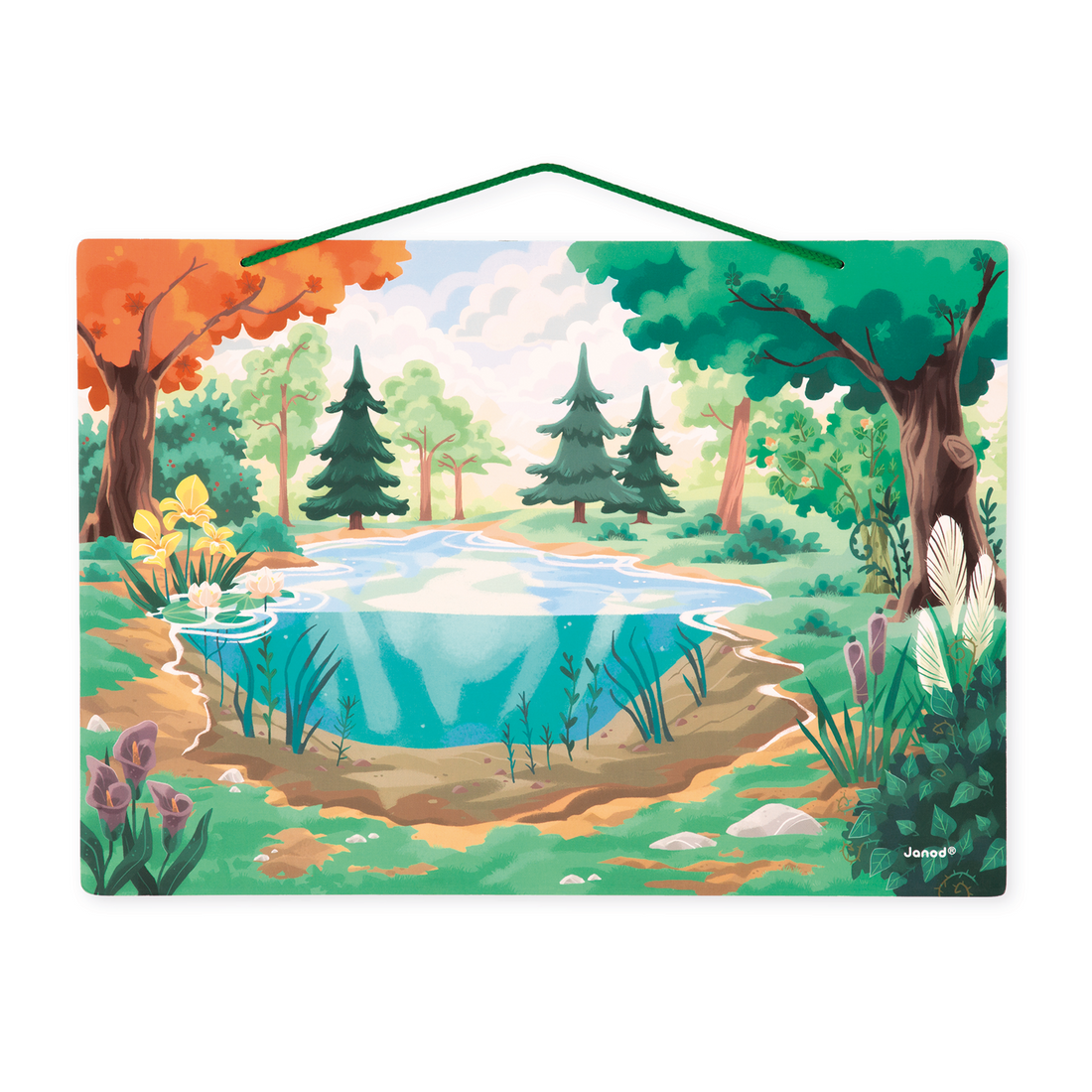 TABLEAU MAGNÉTIQUE - LA FORÊT JANOD