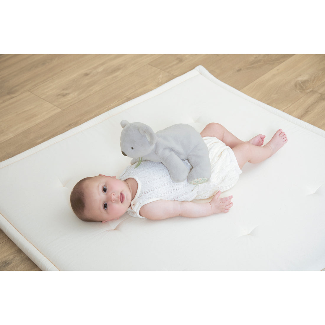 PETIT SONGE: PELUCHE LESTE - KOALA KALOO