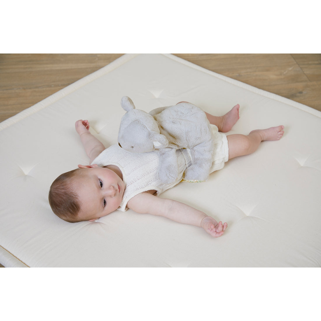 PETIT SONGE: PELUCHE LESTE - KOALA KALOO