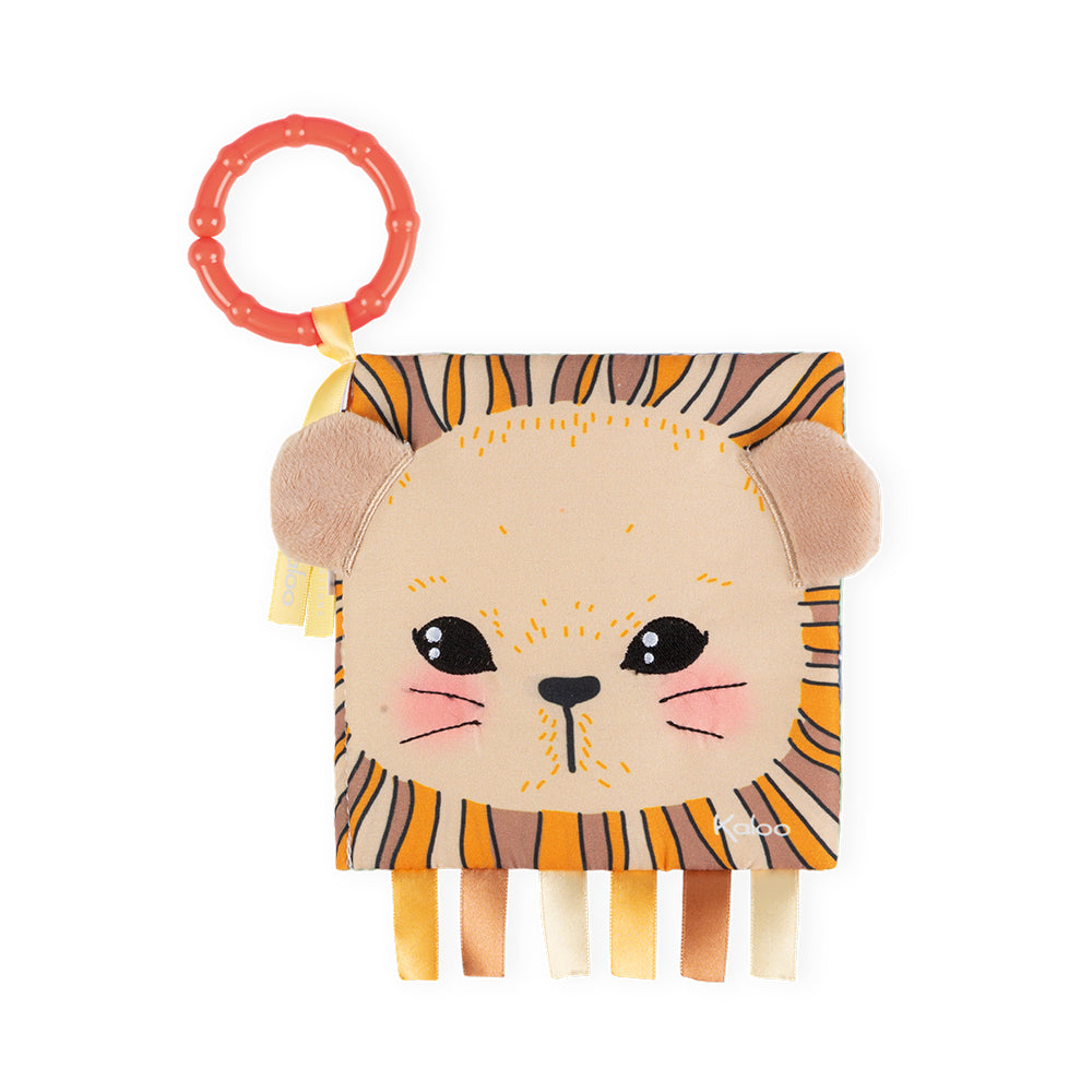 LE LIONCEAU CURIEUX KALOO