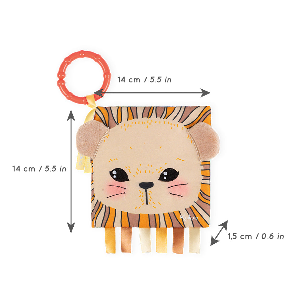 LE LIONCEAU CURIEUX KALOO