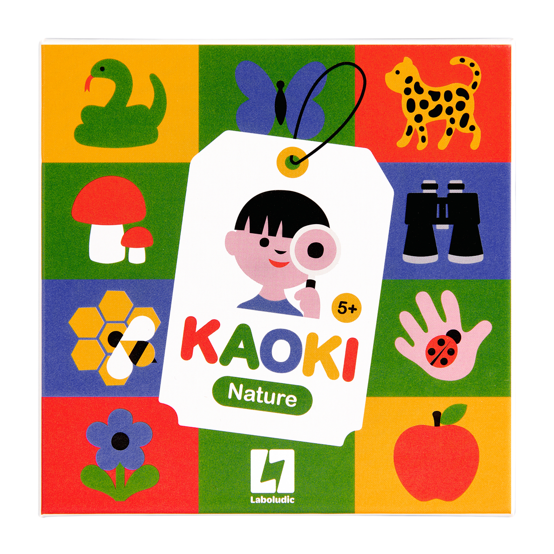 KAOKI NATURE - Pierre Belvédère