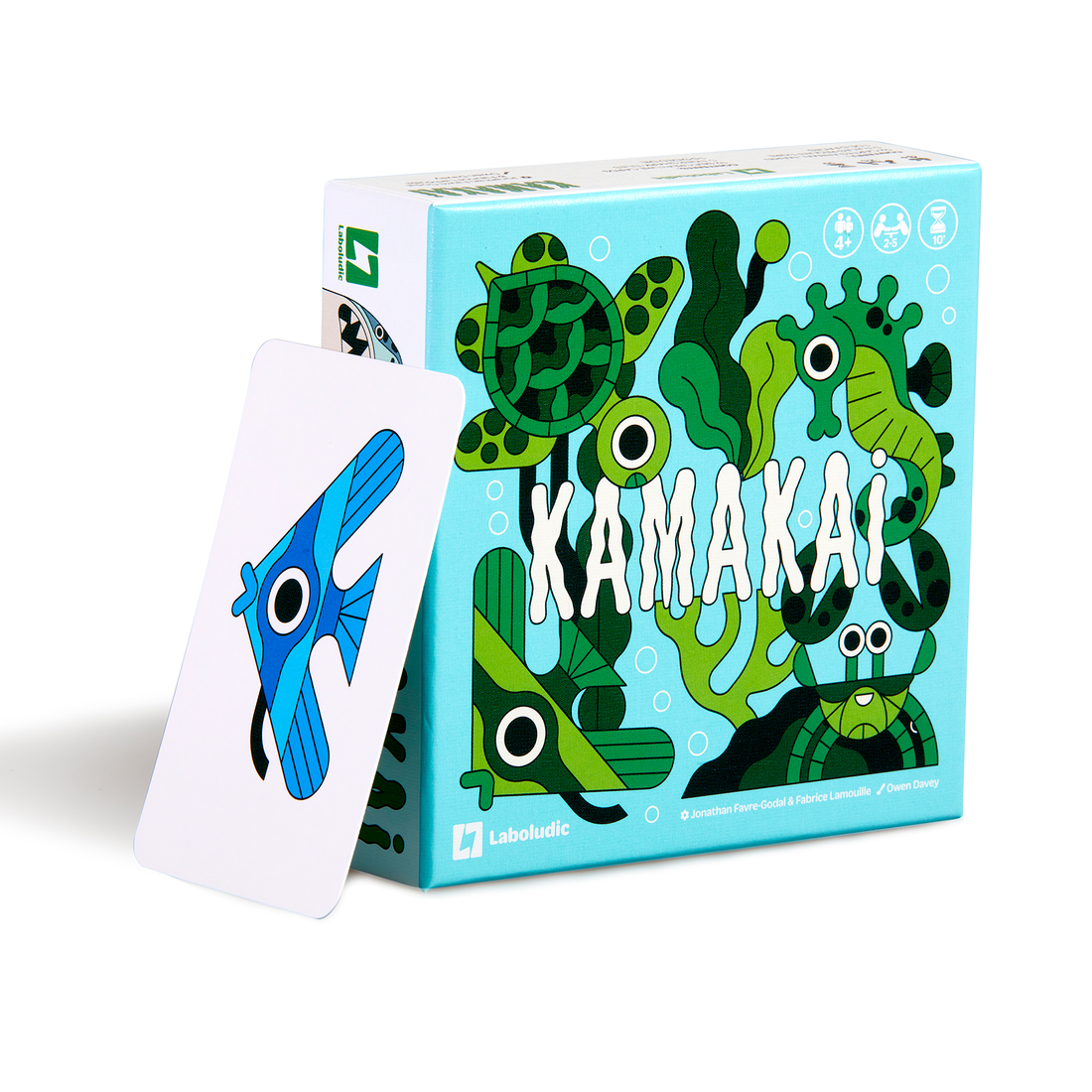 KAMAKAI - Pierre Belvédère