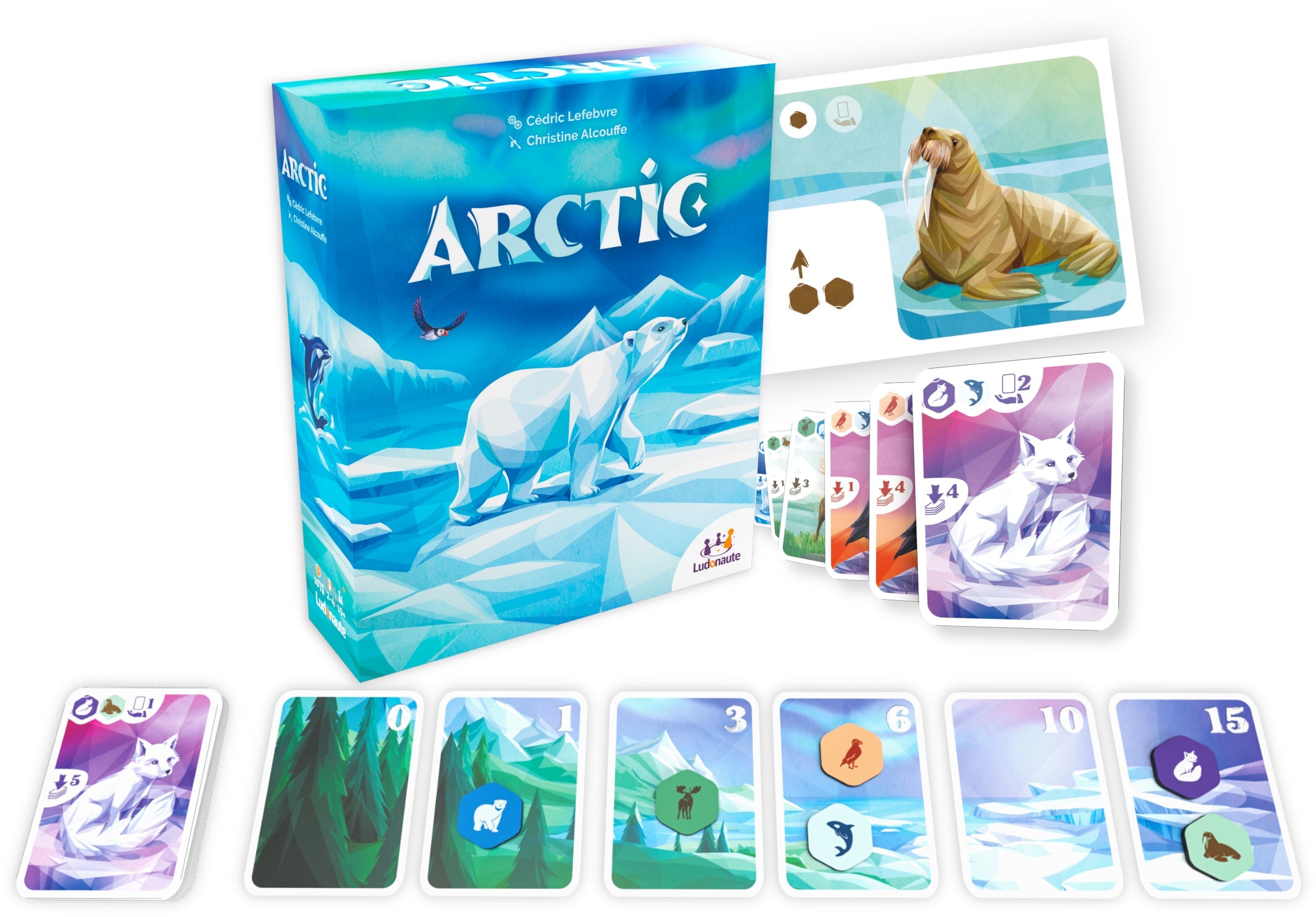 ARCTIC (BIL) LUDONAUTE