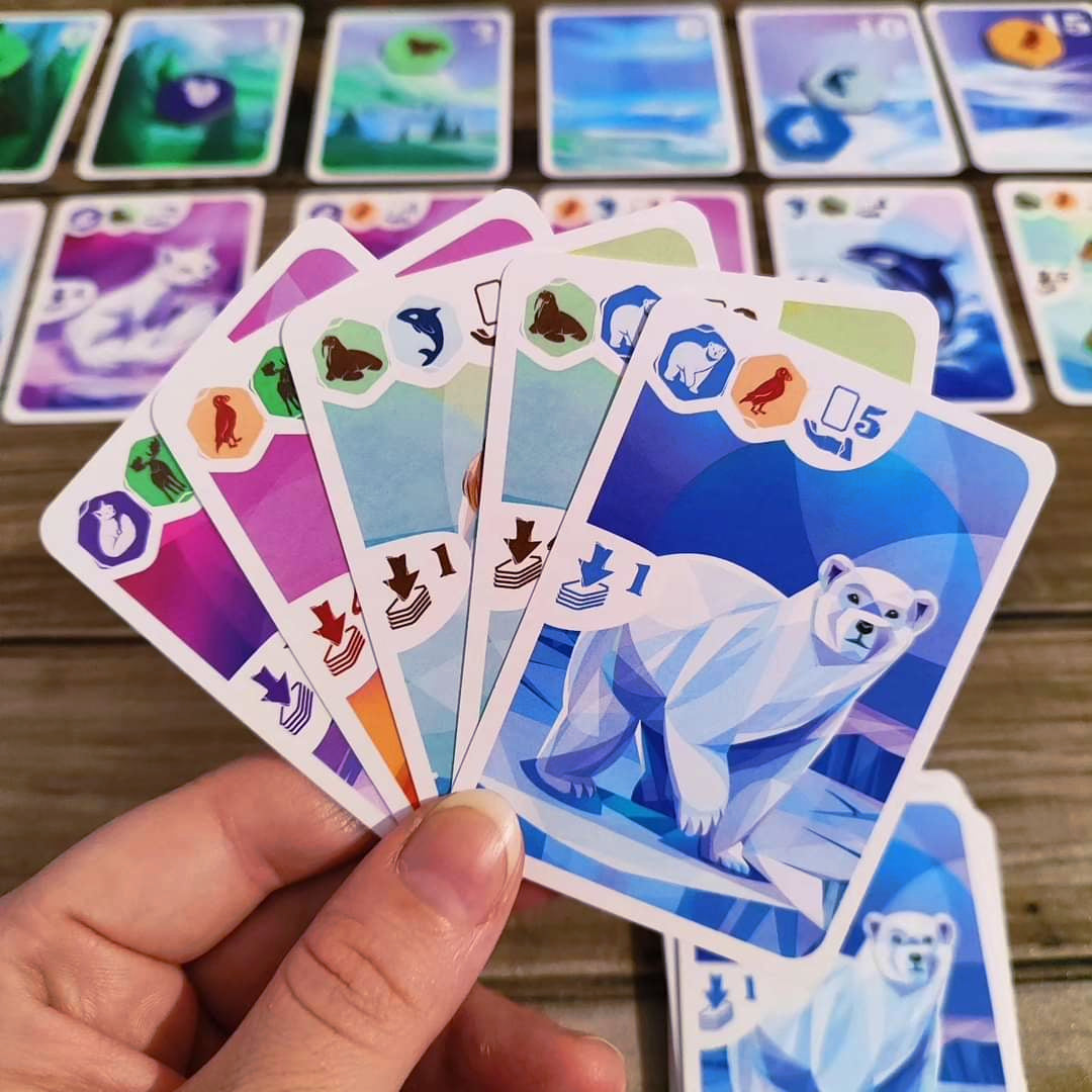 ARCTIC (BIL) LUDONAUTE