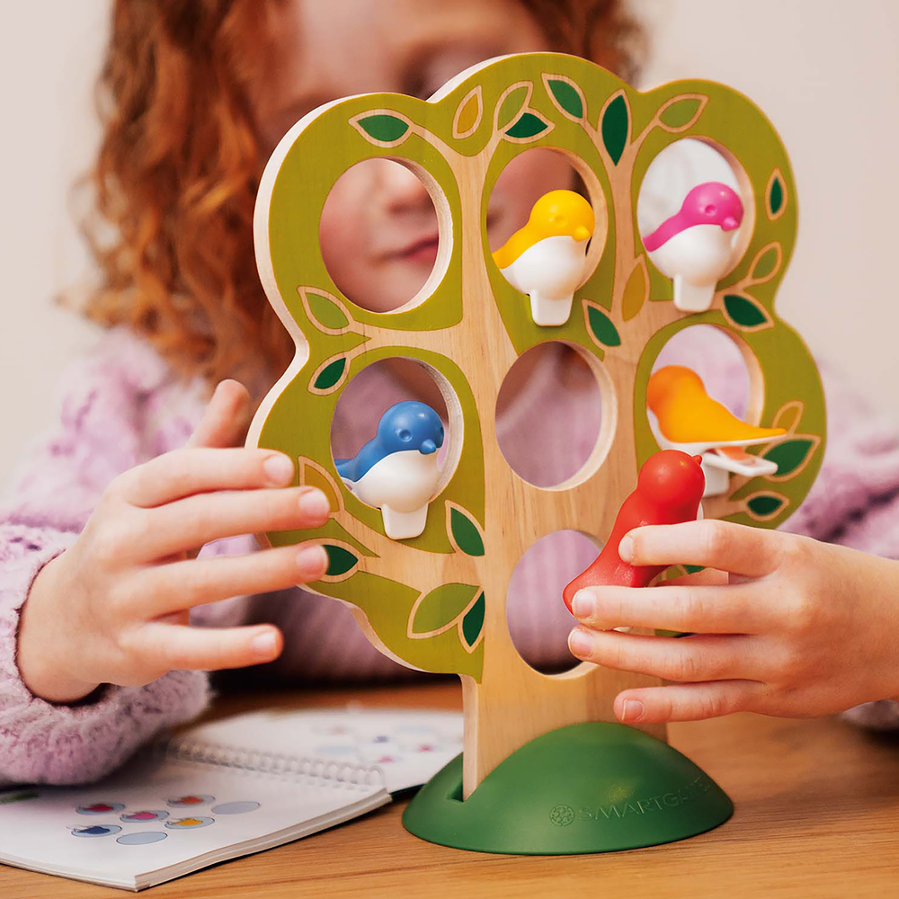5 LITTLE BIRDS SMART GAMES