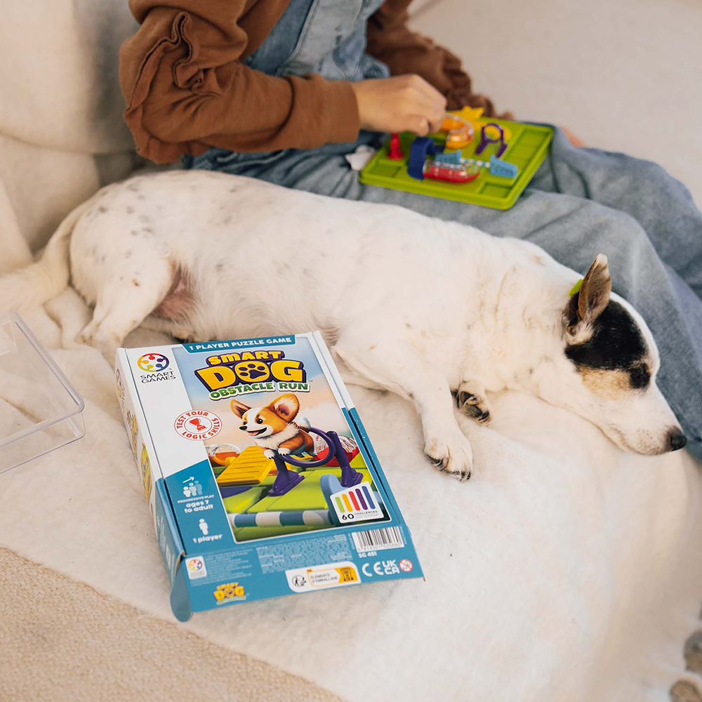 SMART DOG, OBSTACLE RUN SMART GAMES