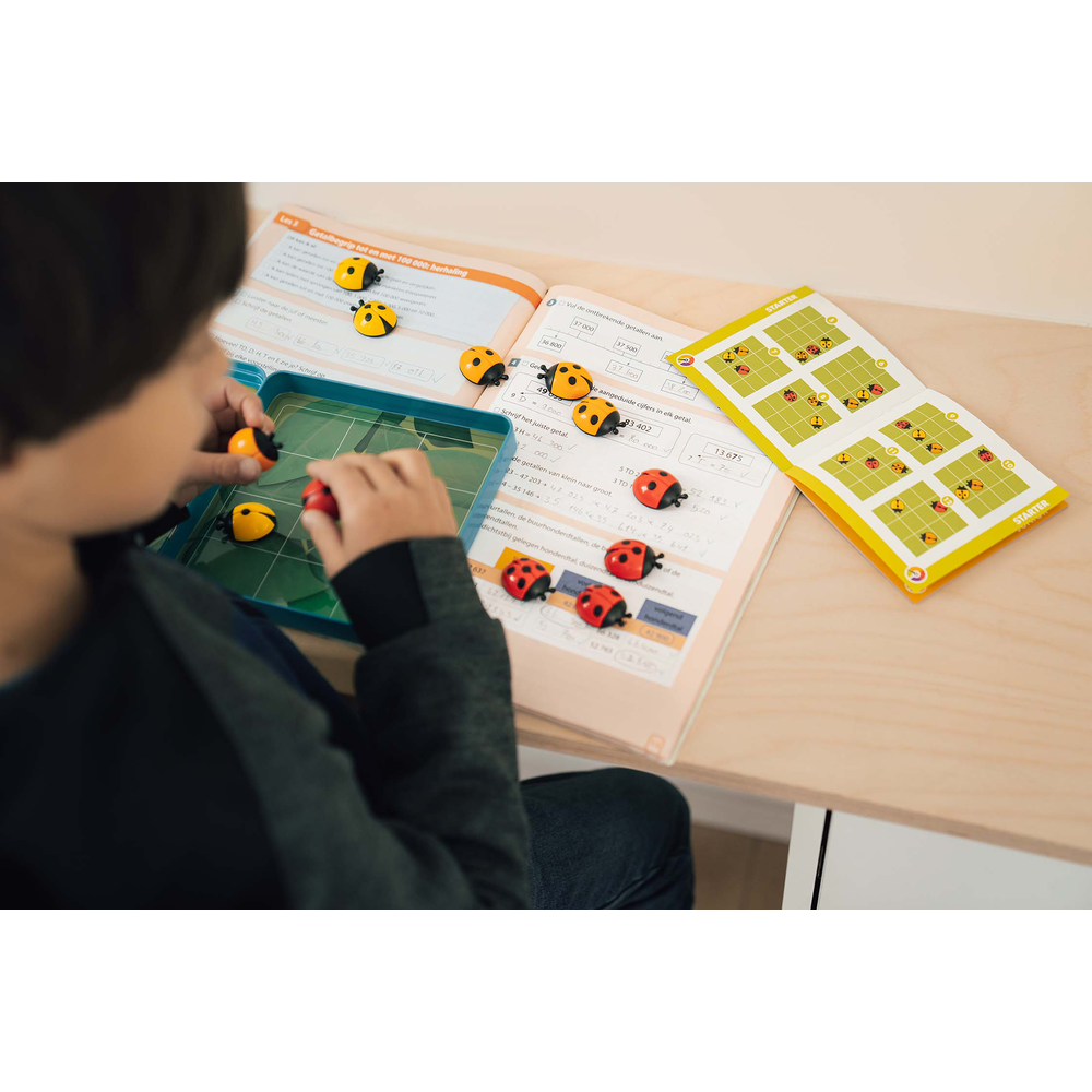 COCCINELLES DEMOISELLES SMART GAMES