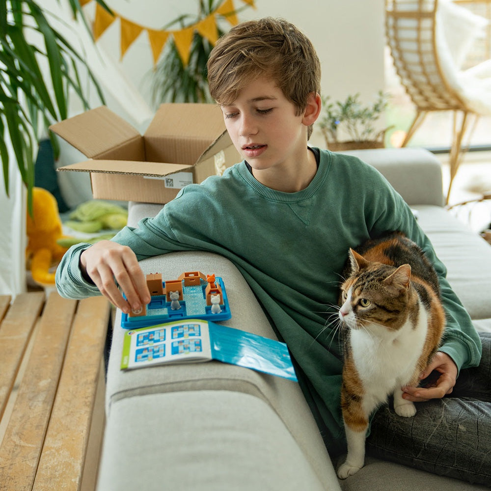 CATS & BOXES SMART GAMES