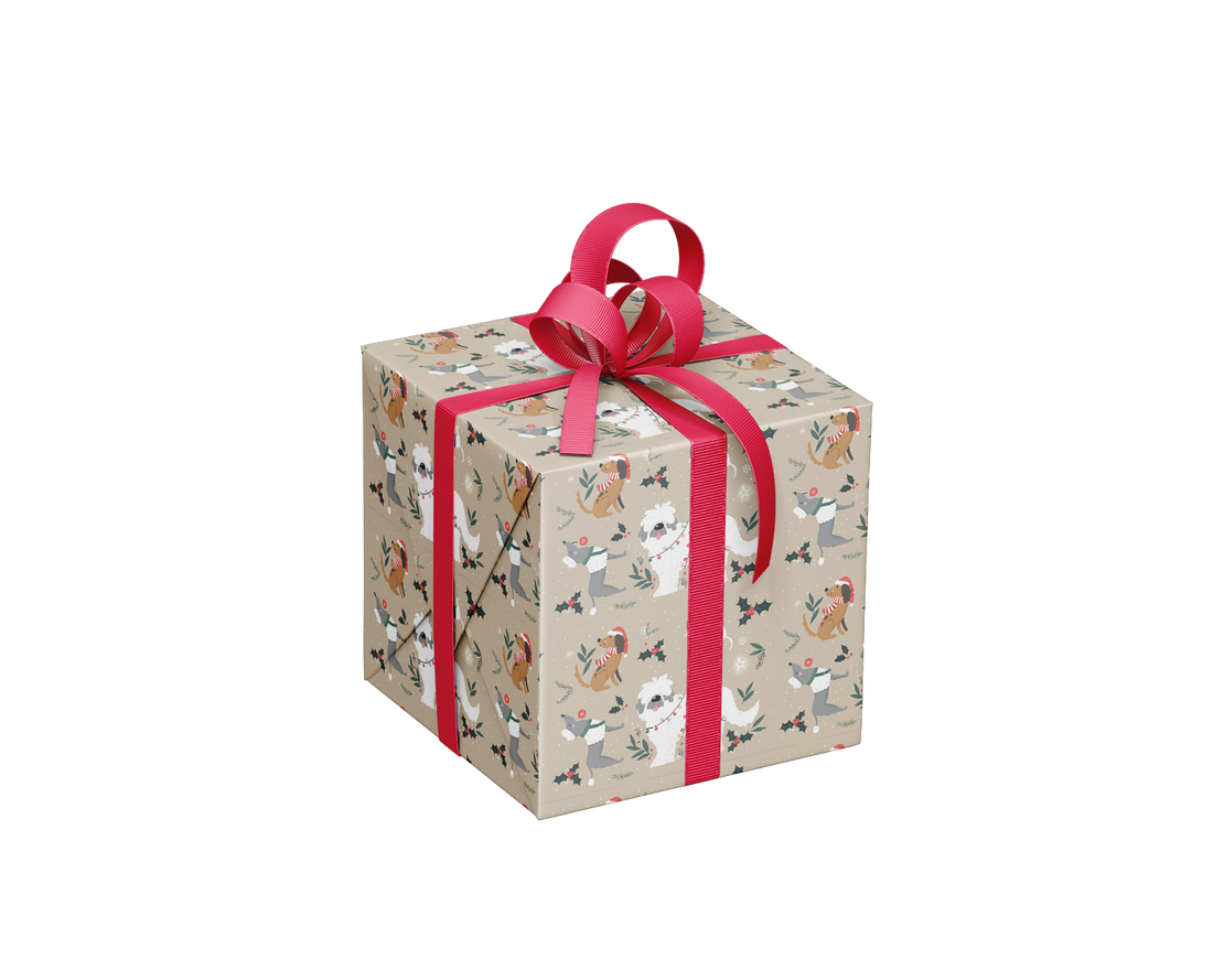DISPLAY- EMBALLAGE ENFANTS NOËL (VENDU 36 UNITÉS / 6 MODÈLES) PBI AUTRES