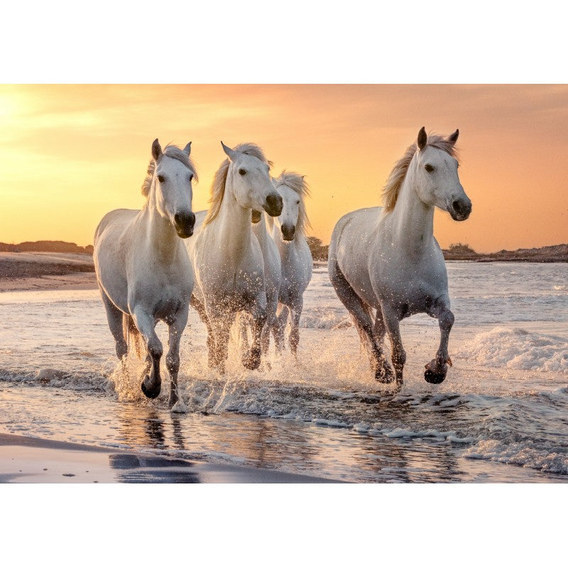 PUZZLE 500 P XL - Chevaux en Camargue SENTOSPHERE