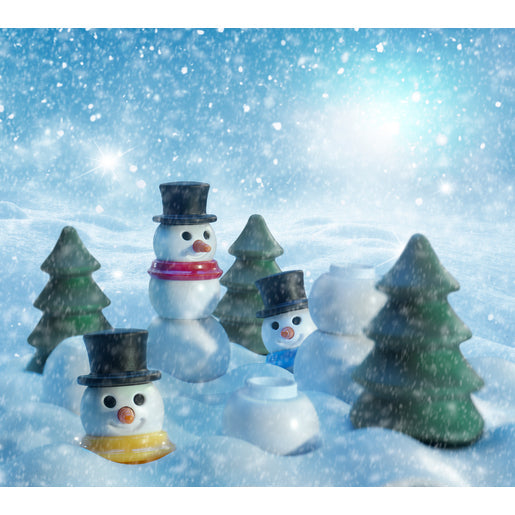 JE VOUDRAIS UN BONHOMME DE NEIGE SMART GAMES
